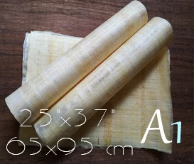 Make papyrus at home