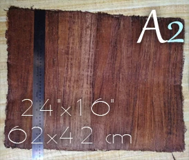 Make papyrus at home