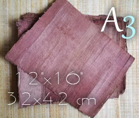 Make papyrus at home