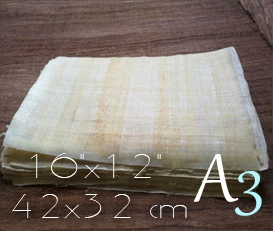 Make papyrus at home